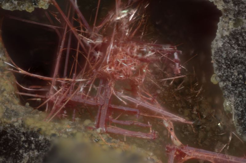Mitu 10x - déplacement boitier - pile d'un jet - ZS PMax.jpg