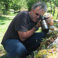 Avatar du membre