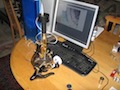 Avatar du membre