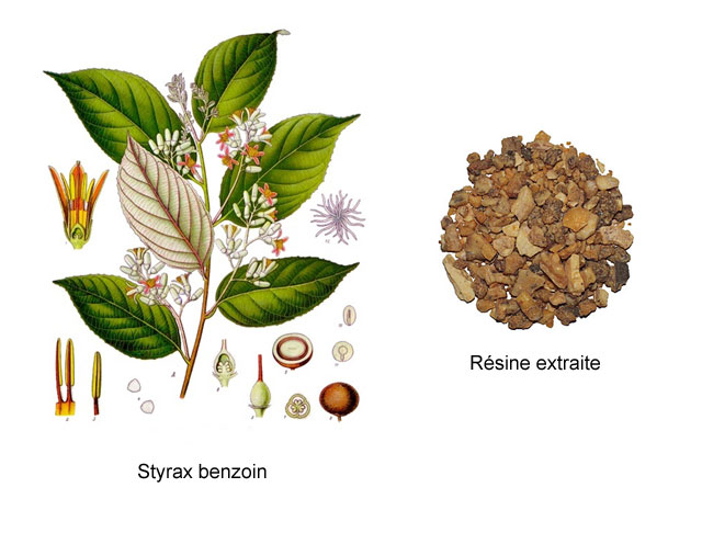 Benjoin (styrax), sublimation et cristallisation #7312