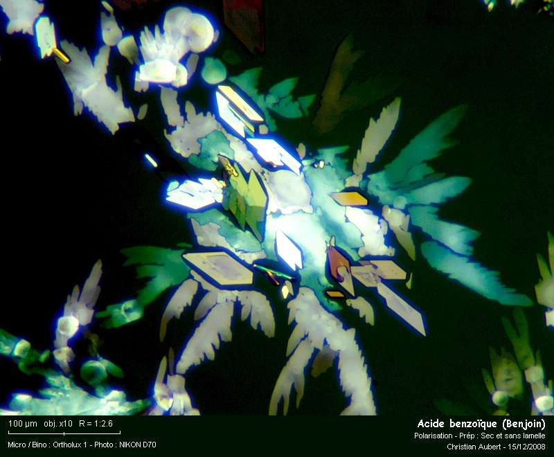 Benjoin (styrax), sublimation et cristallisation #26007