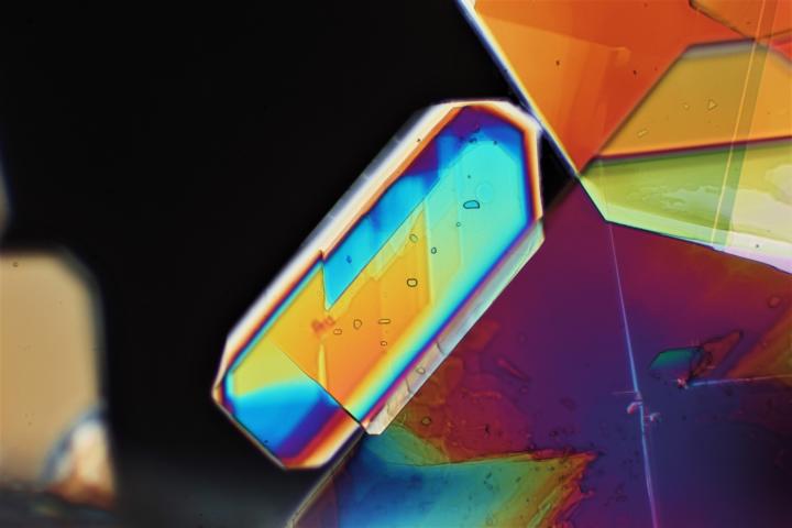 Chloride de Barium en polarisation #49769