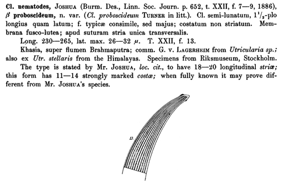 Closterium nematodes Joshua var. proboscideum W. B. Turner #78636