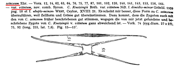 Closterium setaceum Ehr.ex Ralfs #79368