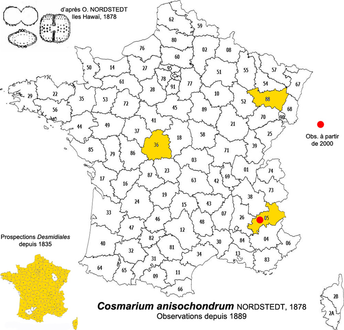 Cosmarium anisochondrum Nordstedt #76199