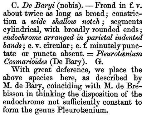 Cosmarium debaryi W. Archer #78085