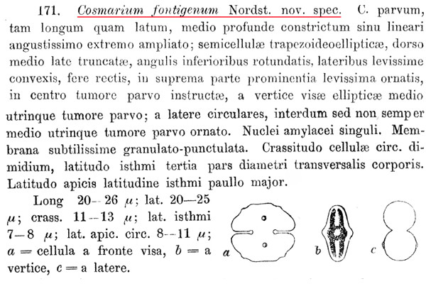 Cosmarium fontigenum Nordstedt #82864