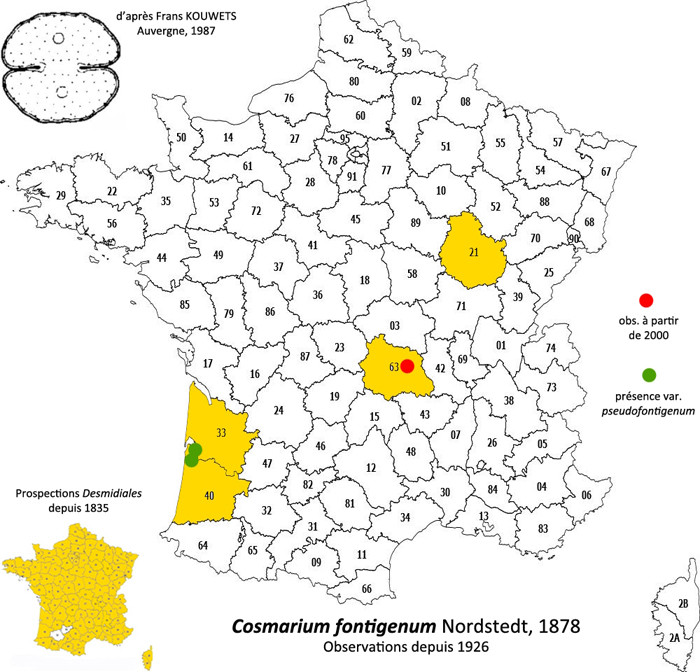 Cosmarium fontigenum Nordstedt #82863
