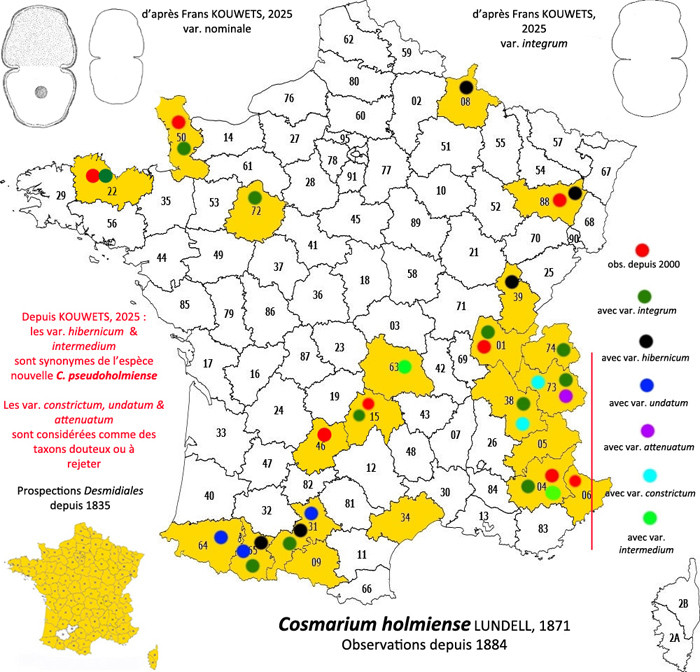 Cosmarium holmiense Lund. var. hibernicum (W. West) Schmidle #85306