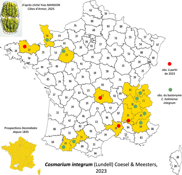 Cosmarium integrum #86344