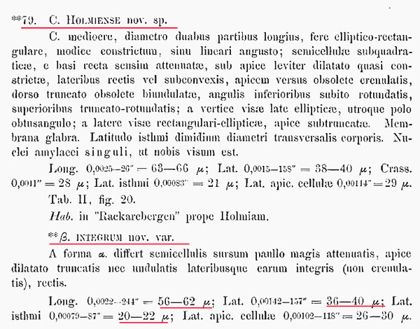 Cosmarium integrum #83407