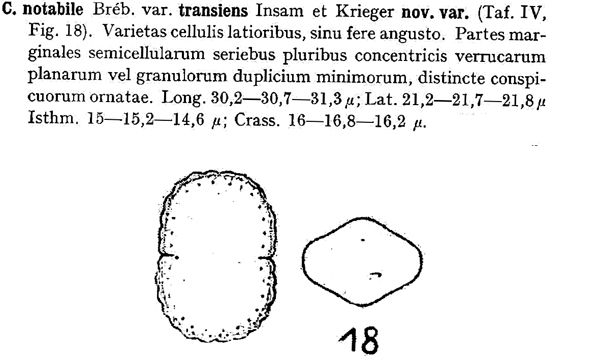Cosmarium notabile var. subnotabile (Wille) Coesel #78895