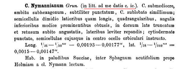 Cosmarium nymannianum Grunow #78994