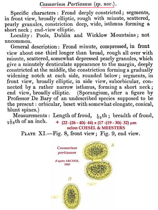 Cosmarium portianum W. Archer #81569