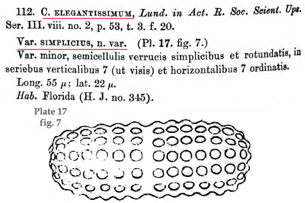 Cosmarium simplicius (W. & G.S. West) Grönblad #81575