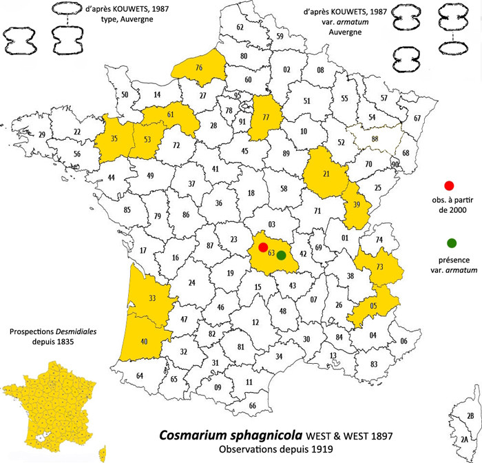 Cosmarium sphagnicola West et G.S.West #85655