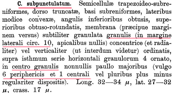 Cosmarium subpunctulatum #85844