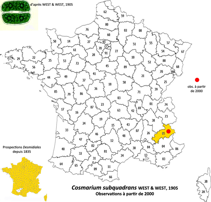 Cosmarium subquadrans W. &. G. S. West #79280