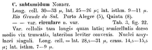 Cosmarium subtumidum Nordstedt #77642