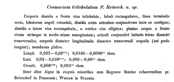 Cosmarium trilobulatum #76709