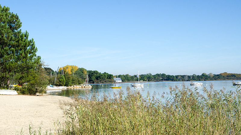Couleuvre #60050