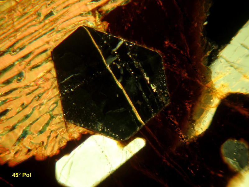 Coupe de labradorite #15024