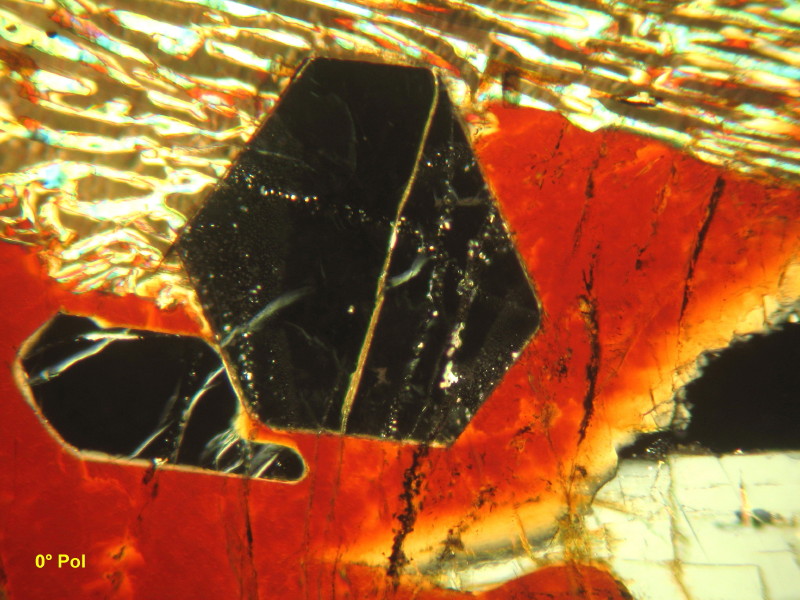 Coupe de labradorite #15021