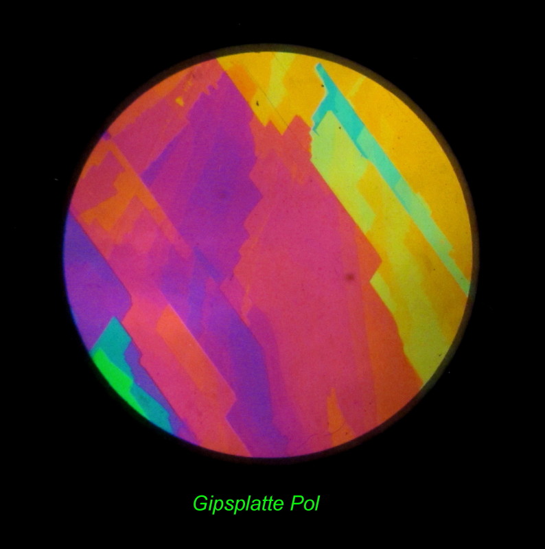 cristaux de gypse en diascopie polarisé #28627