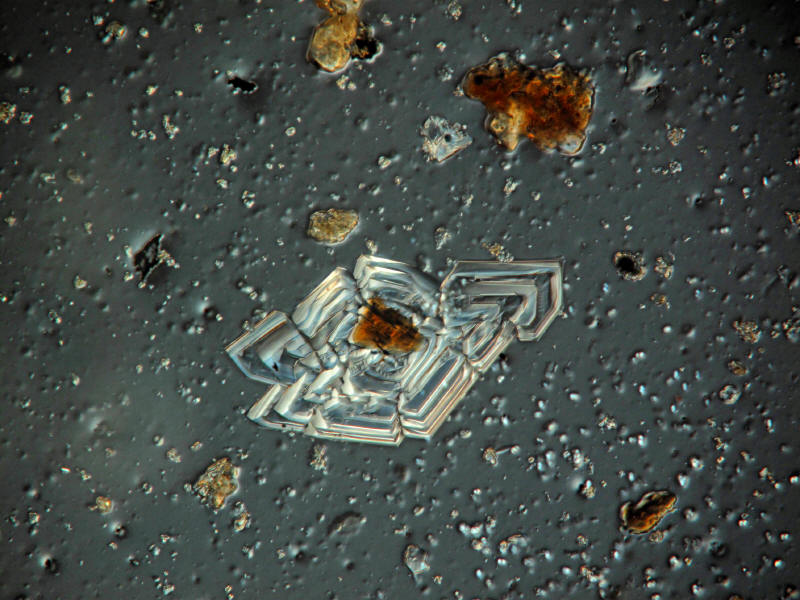 cristaux inconnus dans préparation pollens fossilées #20895