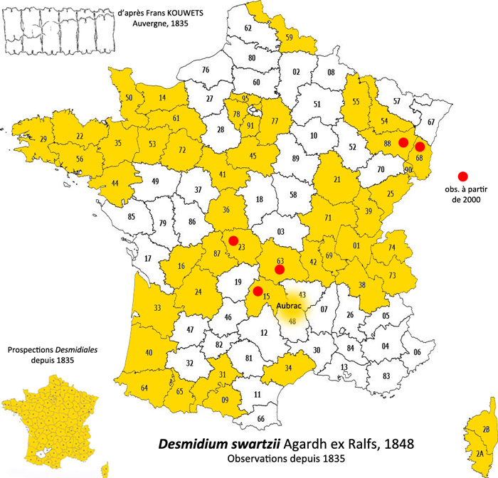 Desmidium swartzii (C.Agardh) C.Agardh ex Ralfs 1848 #82298
