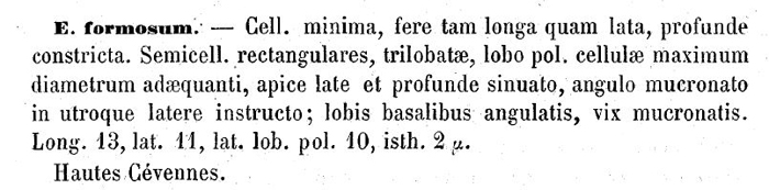 Euastrum gayanum De Toni #76675