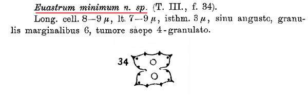 Euastrum minimum Woloszynska #82875