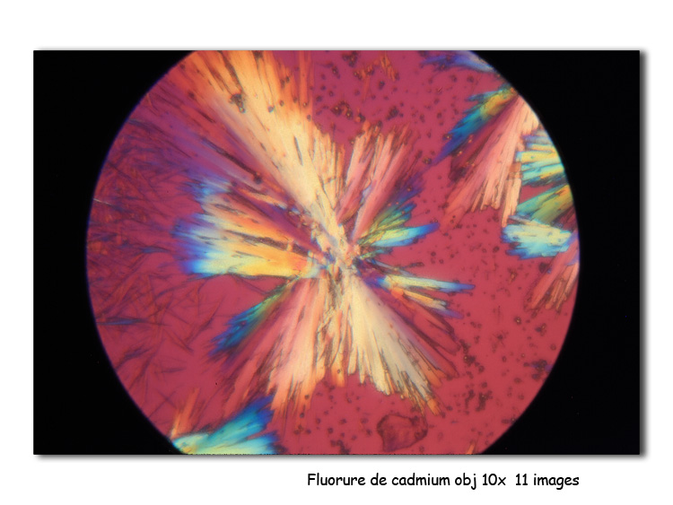 Fluorure de cadmium #13894
