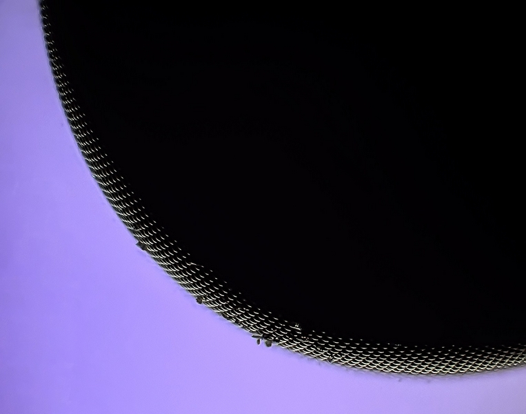 Œil composé à facette d une mouche. #38976