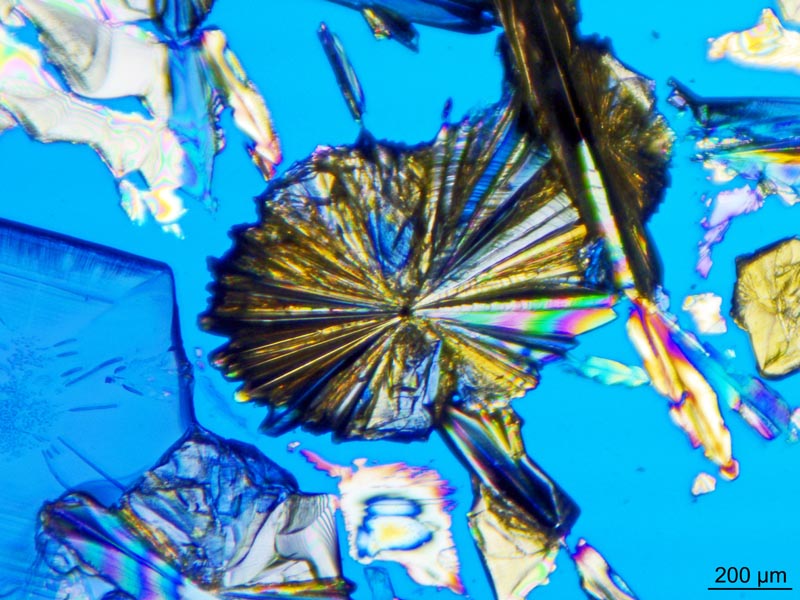 L héliotropine, encore #49084