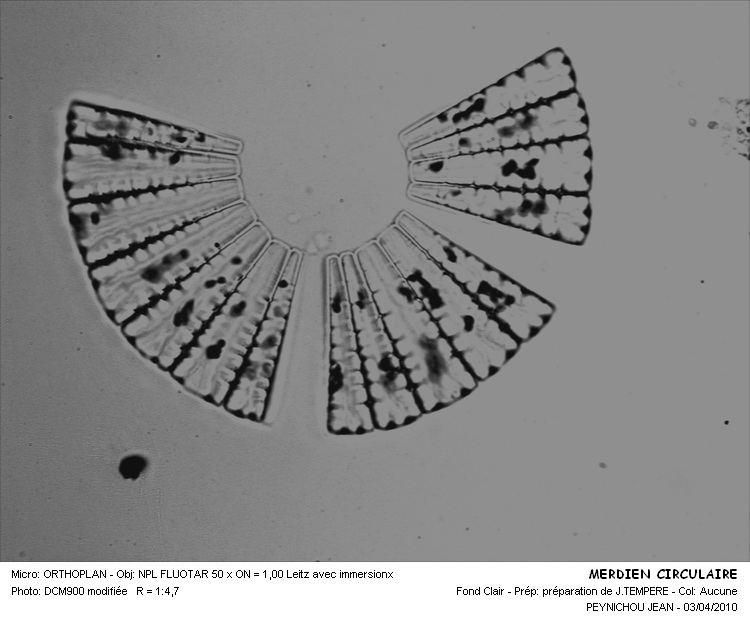 MERIDIEN CIRCULAIRE #31957