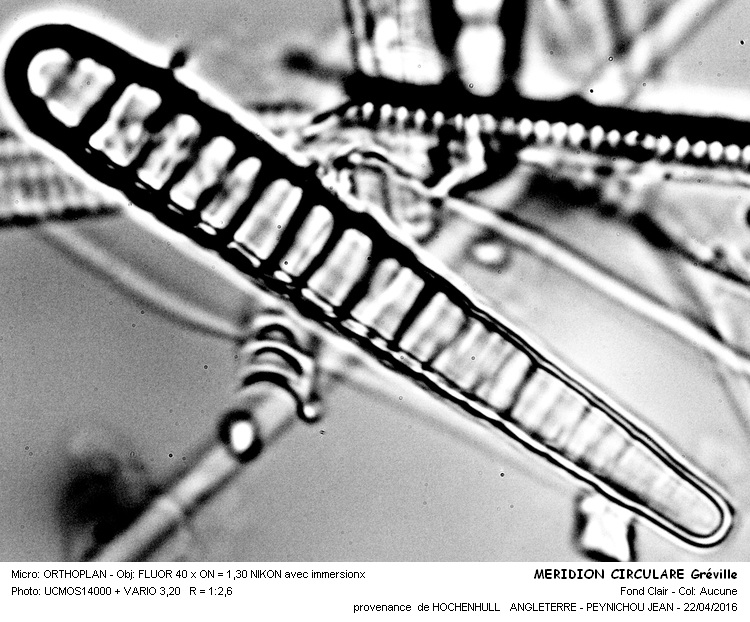 MERIDION CIRCULARE Gréville #44734