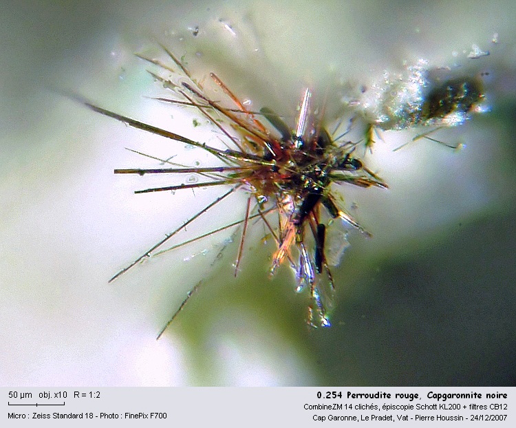 Perroudite, Capgaronnite au microscope #1565