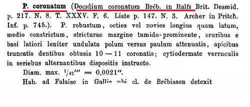 Pleurotaenium coronatum (Ralfs) Rabenhorst #80456