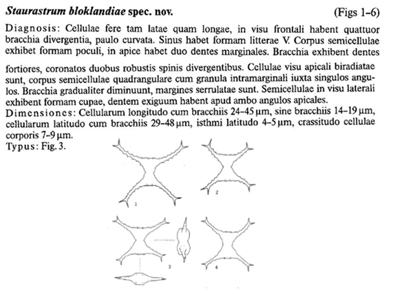 Staurastrum bloklandiae #79667