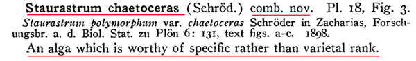 Staurastrum chaetoceras (Schröder) C.M.Smith #81382