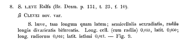 Staurastrum clevei (Wittrock) J.Roy #71742