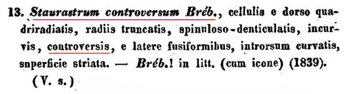 Staurastrum controversum Ralfs #83552