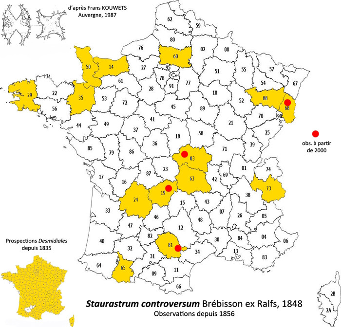 Staurastrum controversum Ralfs #84577