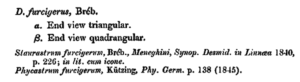 Staurastrum furcigerum (Ralfs) W. Archer #79137