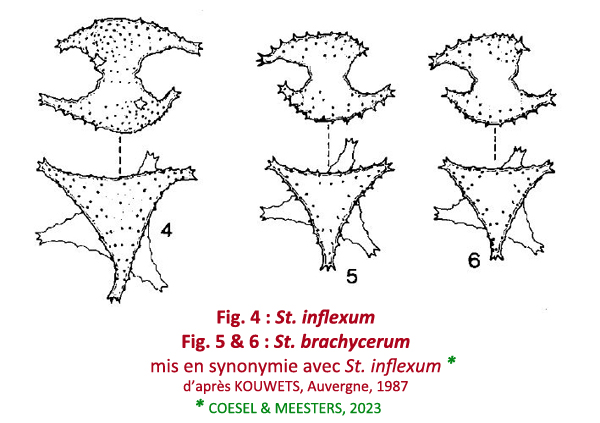 Staurastrum inflexum Brébisson #78862