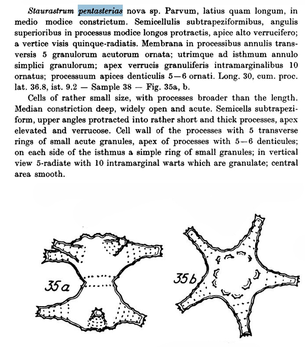 Staurastrum pentasterias Grönblad #77996