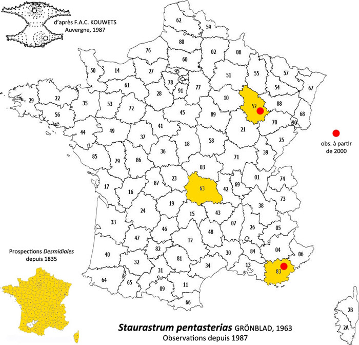 Staurastrum pentasterias Grönblad #83682