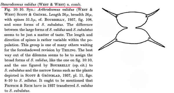 Staurodesmus validus (W.&G.S.West) Thomasson var. subincus #82010