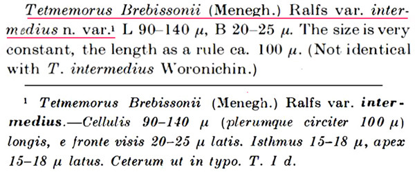 Tetmemorus flensburgii #84924
